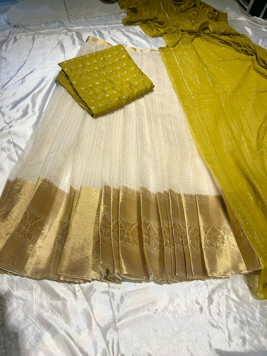 Light olive Green Dhavani Set